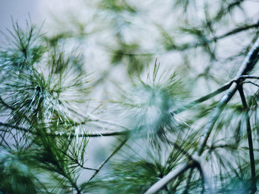 【HELLO 2025】 new year GARAPON !!