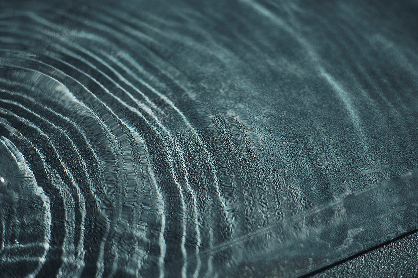 2025.3 PASDEDEUX SCHEDULE