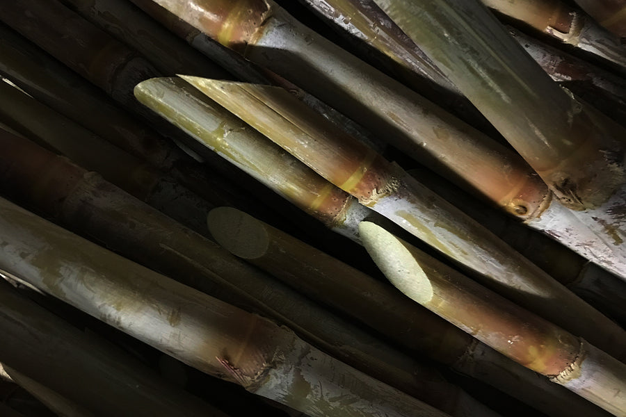 江戸時代から続く伝統製法<br>高知県黒潮から届く“入野さとふ”