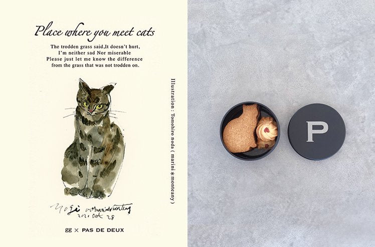 「Place where you meet cats 」１年間 応援ありがとうございました！