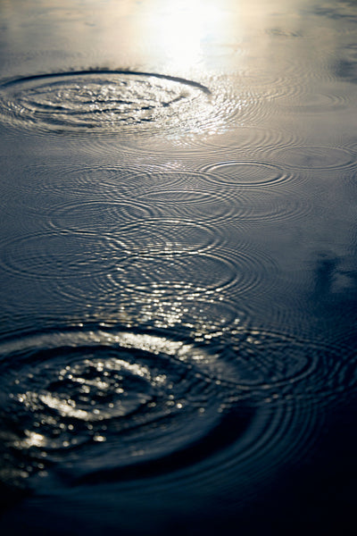 Gathering Waters #01 雨を受けとめる庭