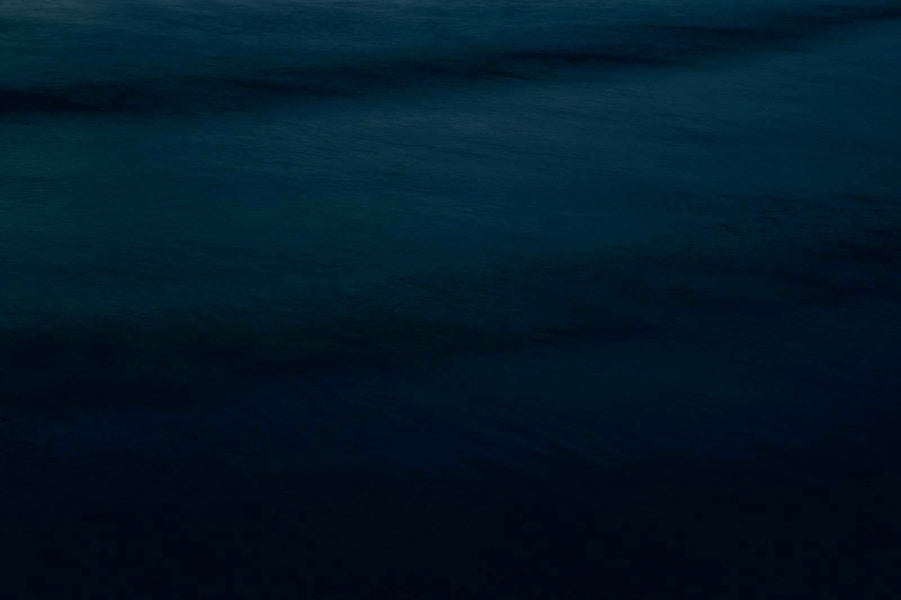 【お知らせ】PAS DE DEUX TOKYO 2/19.20 Pre Opening