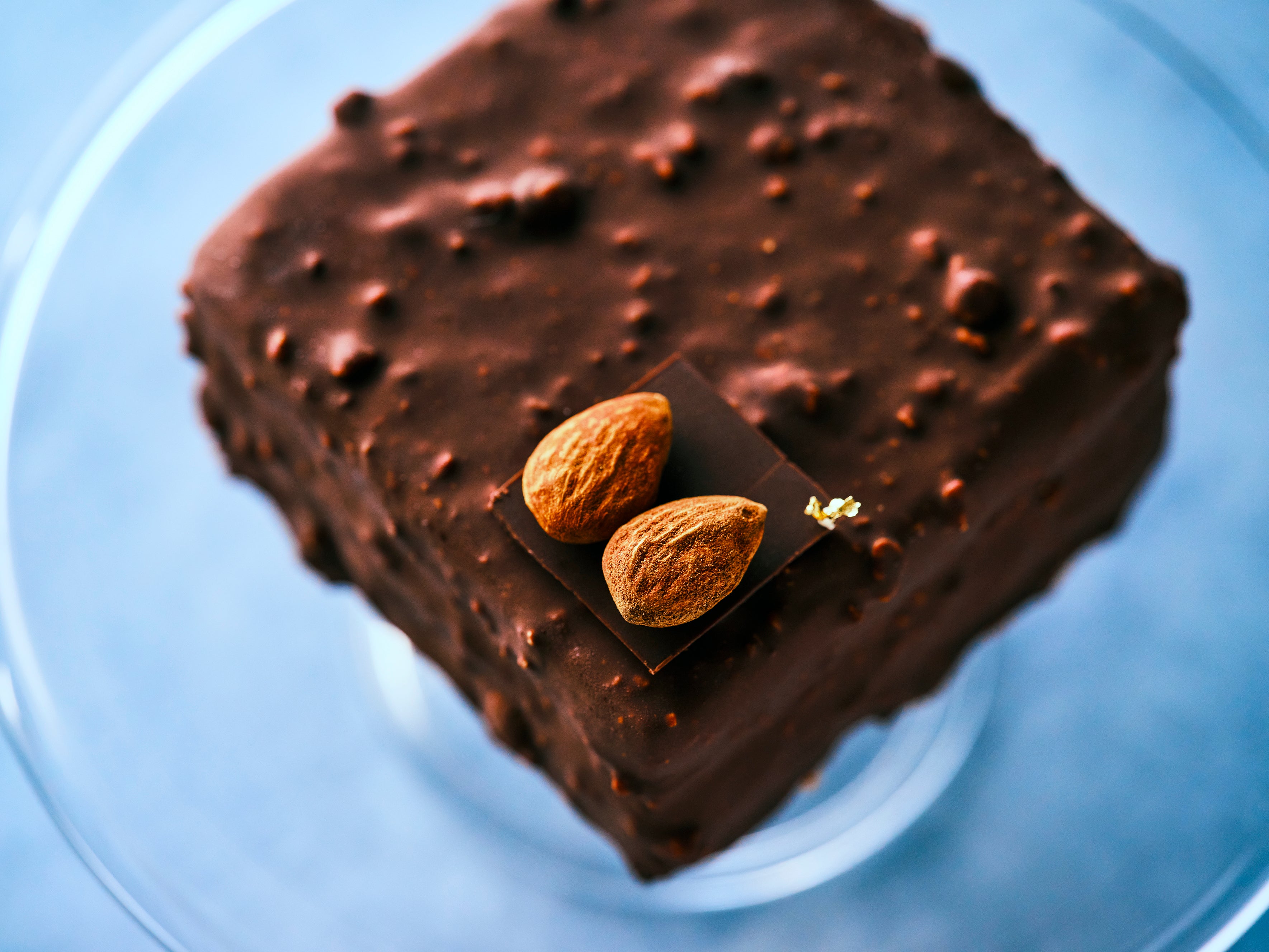 国産カカオ苗【喜界島産】ご自宅でチョコレートの夢を 2株セット